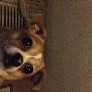 Meet your Posher, Jacqueline